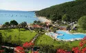 Blumenhotels -  Narcis
