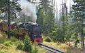 Harz - 4 Tage