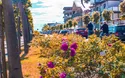 Ostseeküste - Inselhüpfen an der Ostsee - 6 Tage