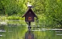 Spreewald - 3 Tage