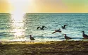 Insel Rügen Deluxe - 6 Tage