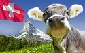 Eindrucksvolles Wallis - Schweiz - 4 Tage