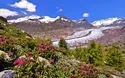 Eindrucksvolles Wallis - Schweiz - 4 Tage