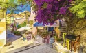 Traubenglück auf Elba - 5 Tage