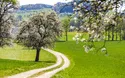 Mostviertel - Rad - 5 Tage