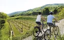 Mostviertel - Rad - 5 Tage