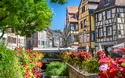 Vielfältiges Elsass - 3 Tage