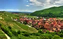 Vielfältiges Elsass - 3 Tage