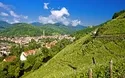 Vielfältiges Elsass - 3 Tage