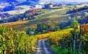 Kulinarische Schätze des Piemont - 6 Tage