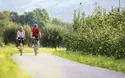 Vinschgau - Rad - 3 Tage