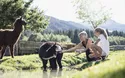 Alphotel Tyrol