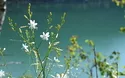 Achensee - 1 Tag 