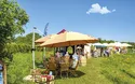 Dennenloher Gartentage - 1 Tag 