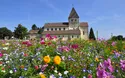 Wein- und Fischerfest Reichenau - 1 Tag