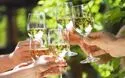 Wein- und Fischerfest Reichenau - 1 Tag
