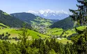 Almabtrieb Wildschönau - 1 Tag