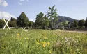 Landesgartenschau Freudenstadt - 1 Tag