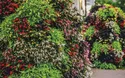 Landesgartenschau Freudenstadt - 1 Tag