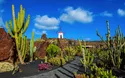 Mein Schiff 7 - Kanaren mit Lanzarote - 8 Tage