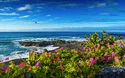 Mein Schiff Relax - Atlantikinseln und Küste Spaniens - 10 Tage
