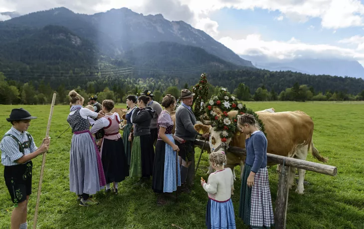 Mittenwald, Almabtrieb