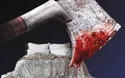 Classic - Opernfestspiele Heidenheim - Gianni Schicchi/Elektra - 1 Tag