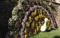 Chrysanthemenzauber Lahr - 1 Tag 