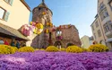 Chrysanthemenzauber Lahr - 1 Tag 