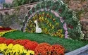 Chrysanthemenzauber Lahr - 1 Tag 