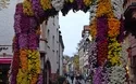 Chrysanthemenzauber Lahr - 1 Tag 