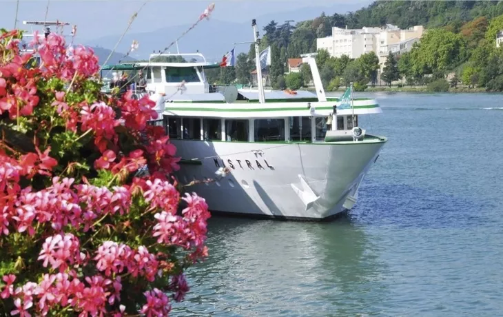 MS Mistral