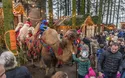 Schloss Guteneck - 1 Tag - Weihnachtsmarkt