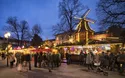 Heidelberg - 1 Tag - Weihnachtsmarkt