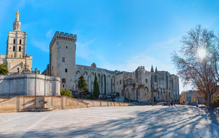 Kathedrale von Avignon im Winter