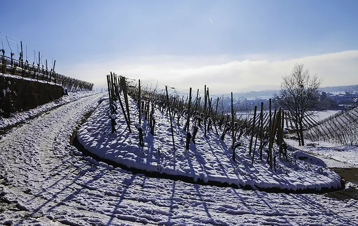 Tain-l'Hermitage in der Côtes du Rhône