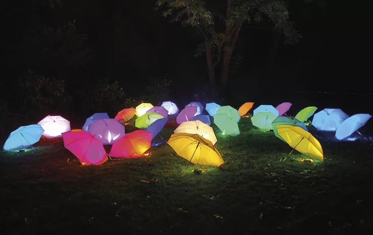 Leuchtende Traumpfade in Ludwigsburg