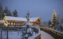 Landshut und Wald-Wipfel Weg St. Englmar - 1 Tag - Weihnachtsmarkt