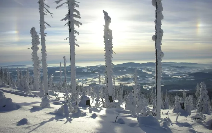 Bayerischer Wald, Winter