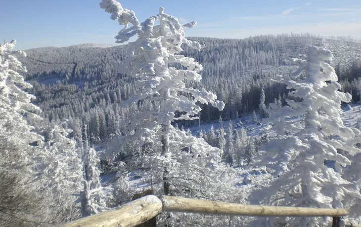 Bayerischer Wald, Winter