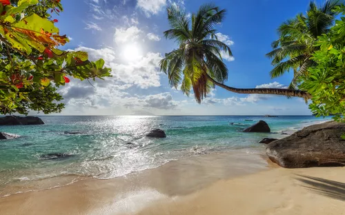 Strand auf Barbados