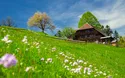 Jungfrauregion und Bern - Berner Oberland - Eger-Mönch-Jungfrau - 4 Tage