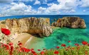 Mandelblüte Algarve - 8 Tage