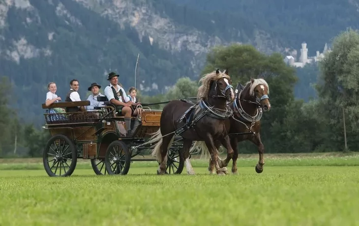 Kutschfahrt Schwangau