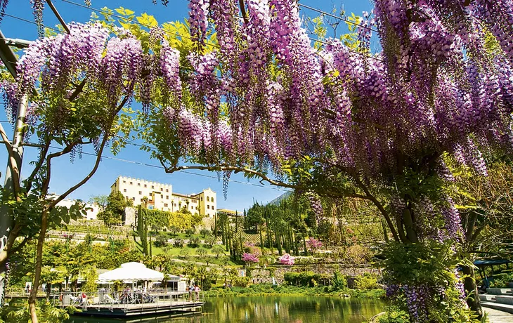 Schloss Trautmannsdorff