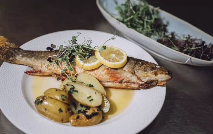 Schlosswirt Tegernsee, Saibling