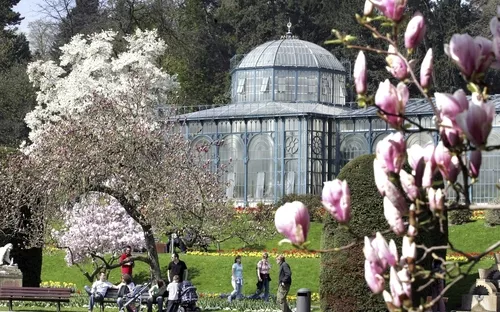 Historisches Gewächshaus