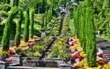 Blumeninsel Mainau - 1 Tag 