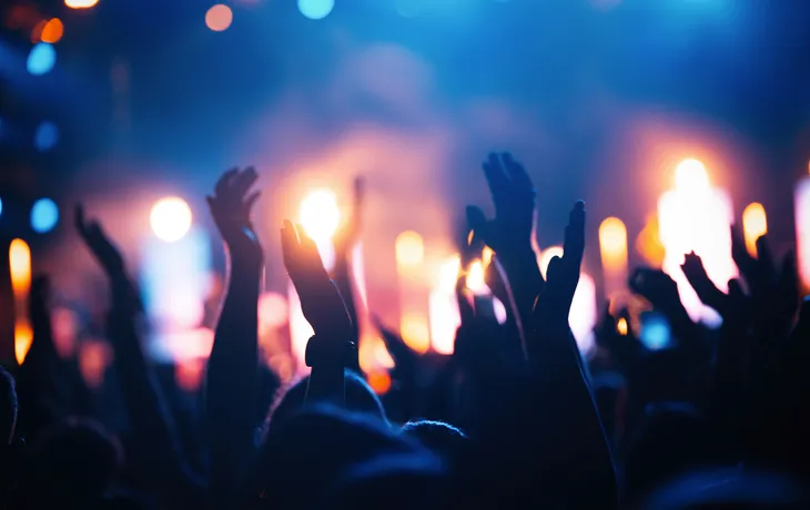 Bild von Partyleuten auf einem Musikfestival
