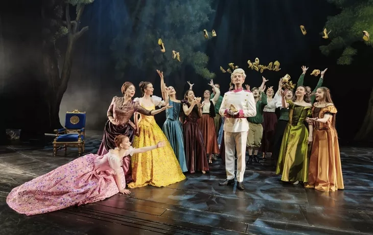 Cinderella Das Musical